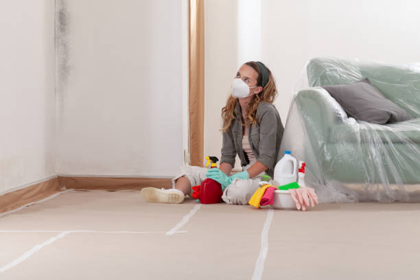 Reliable Mold Testing contractor in Fremont, MI by WQB Mold Removal